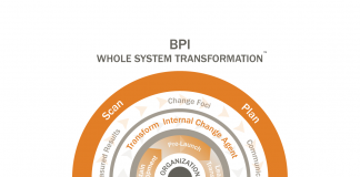 bpi consulting group