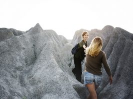 transformational leadership features