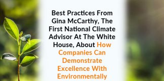 Best Practices From Gina McCarthy, The First National Climate Advisor At The White House, About How Companies Can Demonstrate Excellence With Environmentally Responsible Policies - Excellence in Business