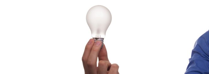 Employee Wellness and Impacts on Performance & Productivity
